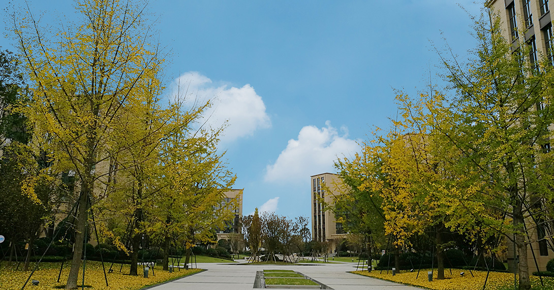 电子科大·国家大学科技园